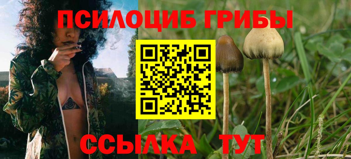 купить наркотик  Галлюциногенные грибы ЛСД  Вход с VPN  Нерюнгри 